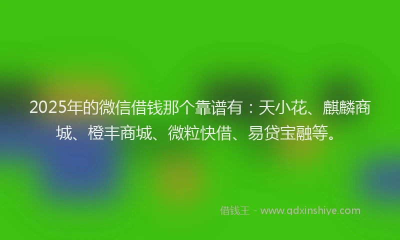 2025年的微信借钱那个靠谱有：天小花、麒麟商城、橙丰商城、微粒快借、易贷宝融等。