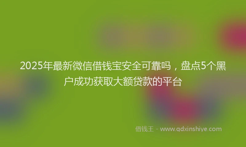 2025年最新微信借钱宝安全可靠吗，盘点5个黑户成功获取大额贷款的平台