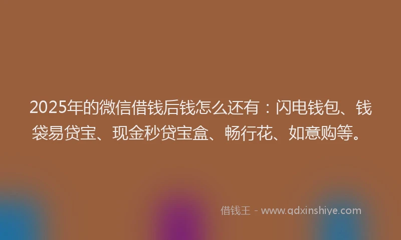2025年的微信借钱后钱怎么还有：闪电钱包、钱袋易贷宝、现金秒贷宝盒、畅行花、如意购等。