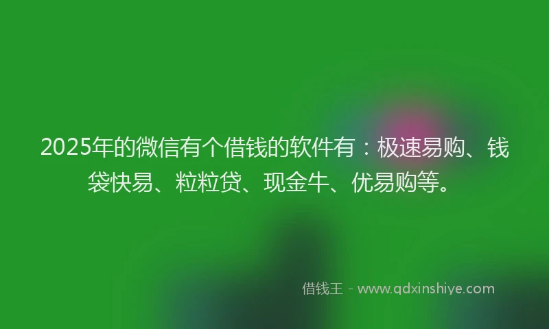 2025年的微信有个借钱的软件有：极速易购、钱袋快易、粒粒贷、现金牛、优易购等。