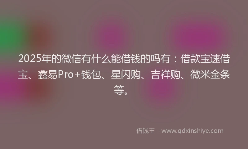 2025年的微信有什么能借钱的吗有：借款宝速借宝、鑫易Pro+钱包、星闪购、吉祥购、微米金条等。