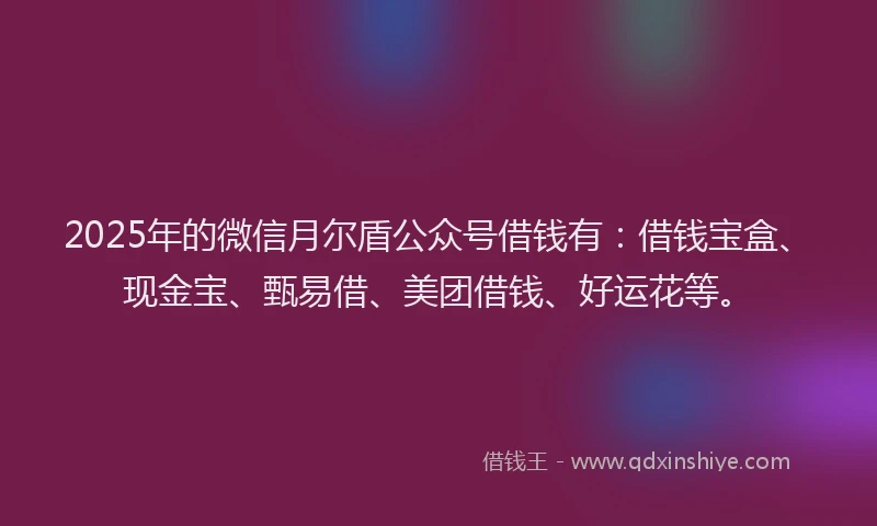 2025年的微信月尔盾公众号借钱有：借钱宝盒、现金宝、甄易借、美团借钱、好运花等。