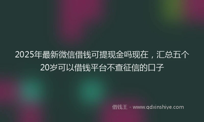 2025年最新微信借钱可提现金吗现在，汇总五个20岁可以借钱平台不查征信的口子
