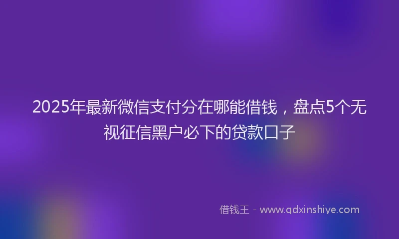 2025年最新微信支付分在哪能借钱，盘点5个无视征信黑户必下的贷款口子