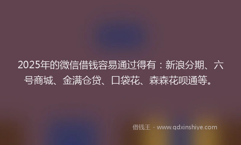 2025年的微信借钱容易通过得有：新浪分期、六号商城、金满仓贷、口袋花、森森花呗通等。
