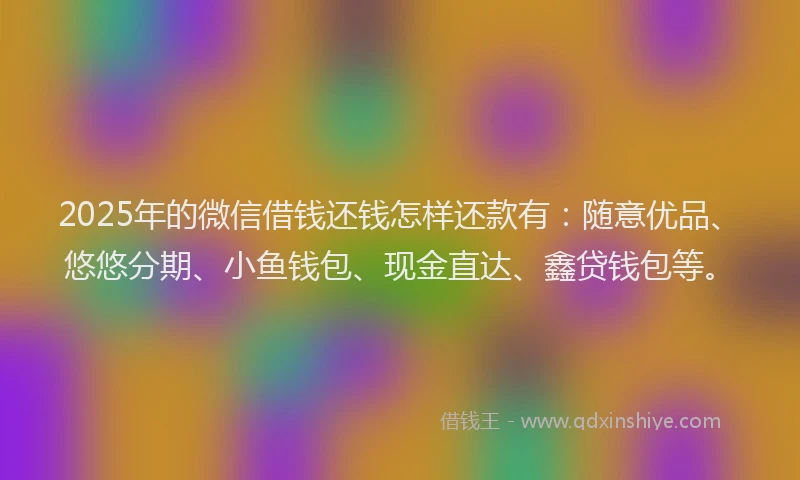 2025年的微信借钱还钱怎样还款有：随意优品、悠悠分期、小鱼钱包、现金直达、鑫贷钱包等。