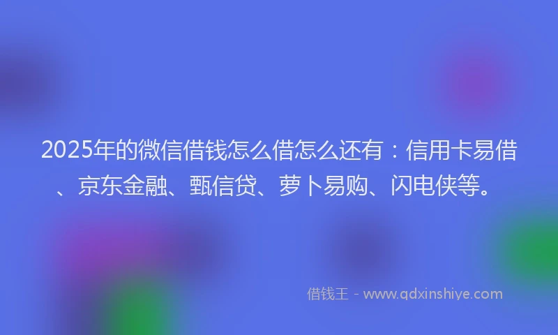 2025年的微信借钱怎么借怎么还有：信用卡易借、京东金融、甄信贷、萝卜易购、闪电侠等。