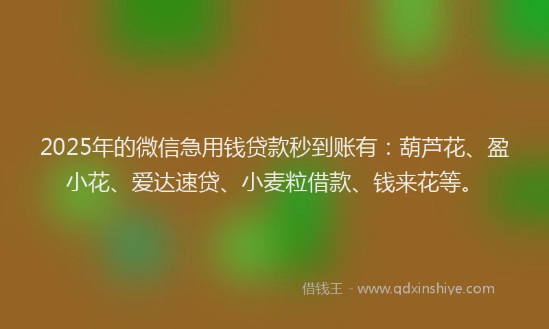 2025年的微信急用钱贷款秒到账有：葫芦花、盈小花、爱达速贷、小麦粒借款、钱来花等。