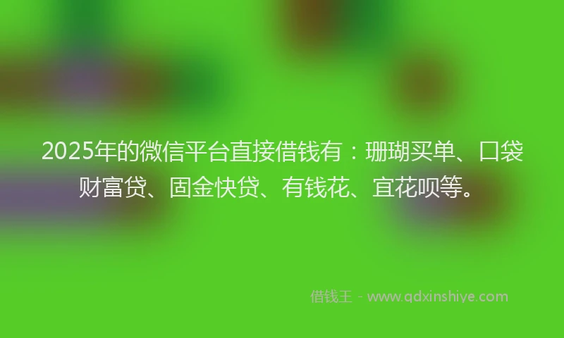 2025年的微信平台直接借钱有：珊瑚买单、口袋财富贷、固金快贷、有钱花、宜花呗等。