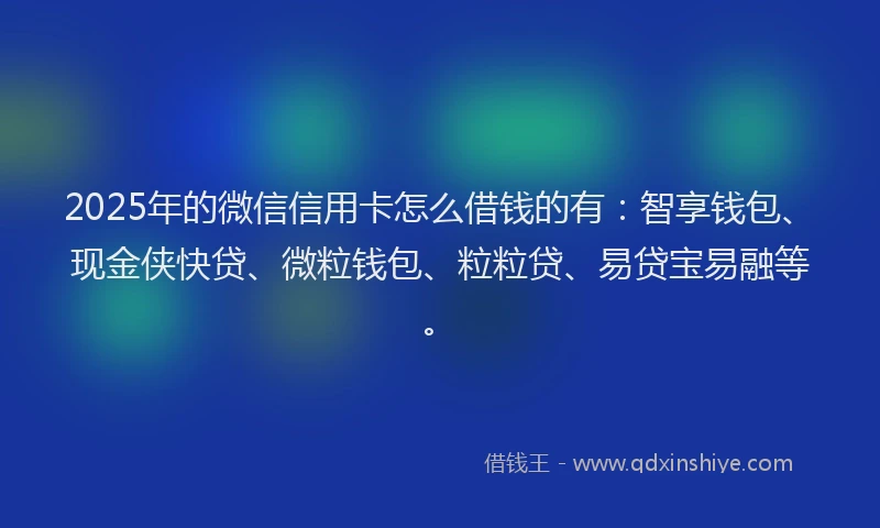 2025年的微信信用卡怎么借钱的有:智享钱包、现金侠快贷、微粒钱包、粒粒贷、易贷宝易融等。