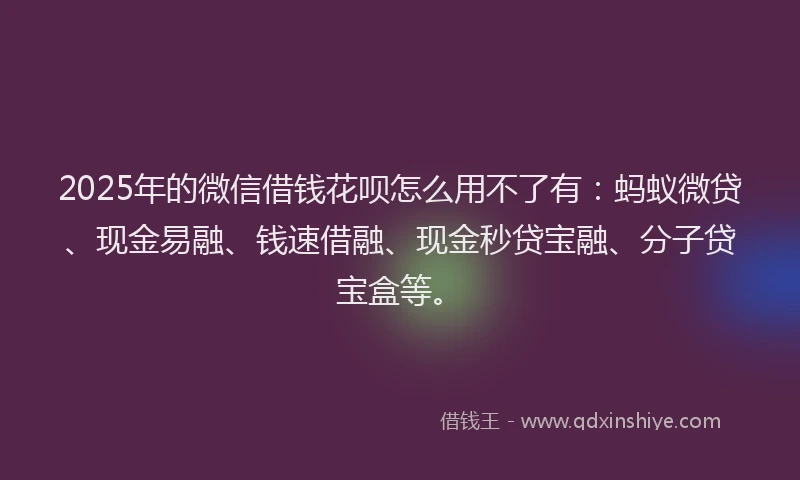 2025年的微信借钱花呗怎么用不了有：蚂蚁微贷、现金易融、钱速借融、现金秒贷宝融、分子贷宝盒等。