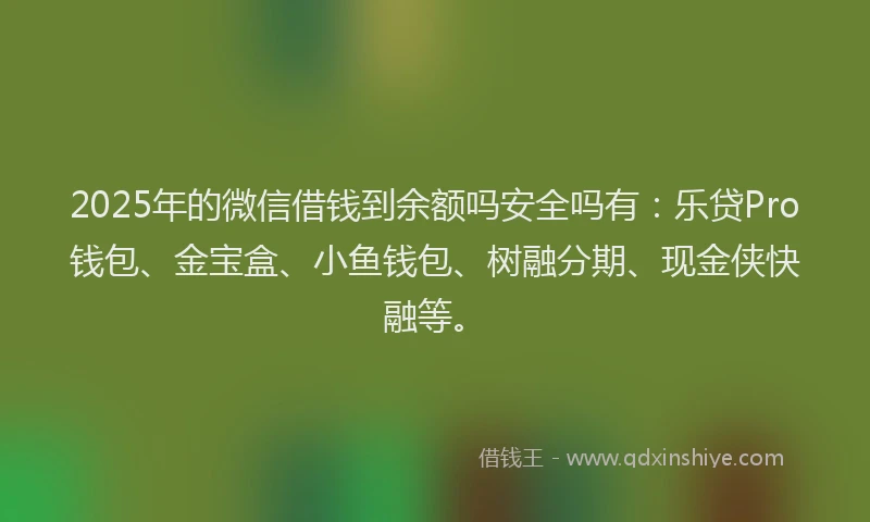 2025年的微信借钱到余额吗安全吗有：乐贷Pro钱包、金宝盒、小鱼钱包、树融分期、现金侠快融等。
