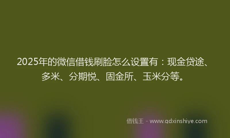 2025年的微信借钱刷脸怎么设置有：现金贷途、多米、分期悦、固金所、玉米分等。