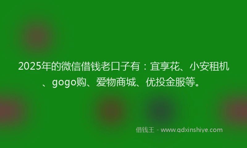 2025年的微信借钱老口子有:宜享花、小安租机、gogo购、爱物商城、优投金服等。