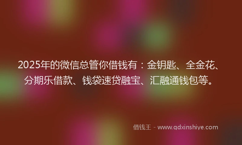 2025年的微信总管你借钱有：金钥匙、全金花、分期乐借款、钱袋速贷融宝、汇融通钱包等。
