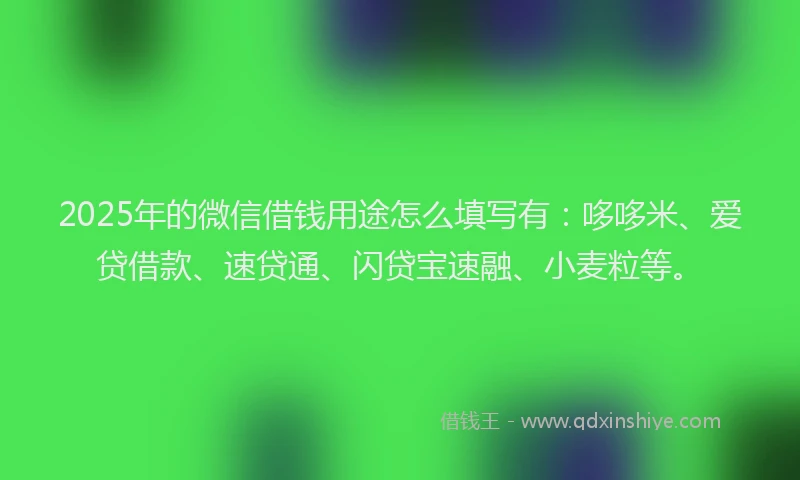 2025年的微信借钱用途怎么填写有：哆哆米、爱贷借款、速贷通、闪贷宝速融、小麦粒等。