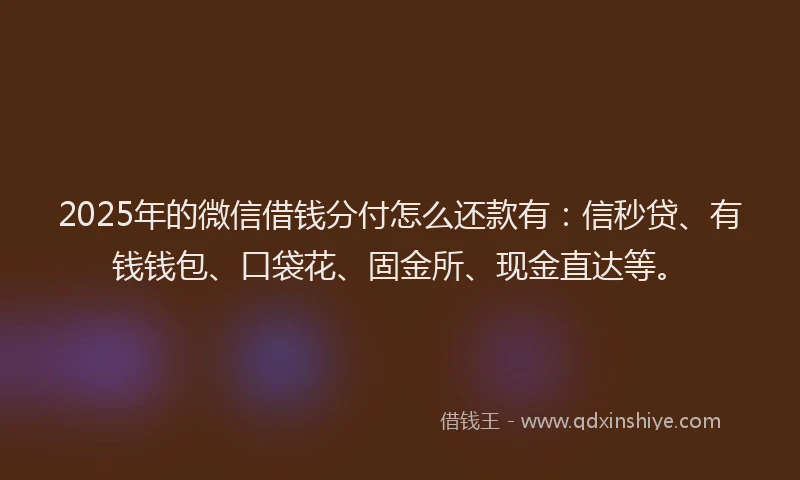 2025年的微信借钱分付怎么还款有：信秒贷、有钱钱包、口袋花、固金所、现金直达等。