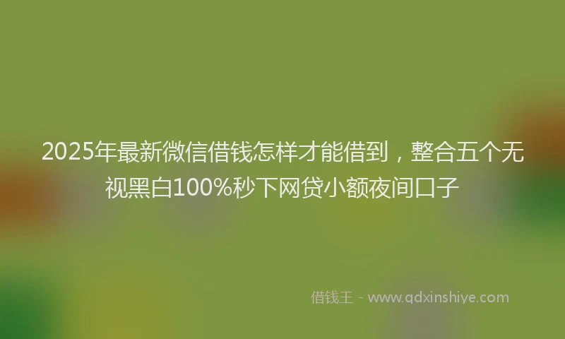 2025年最新微信借钱怎样才能借到，整合五个无视黑白100%秒下网贷小额夜间口子