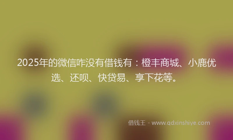 2025年的微信咋没有借钱有：橙丰商城、小鹿优选、还呗、快贷易、享下花等。