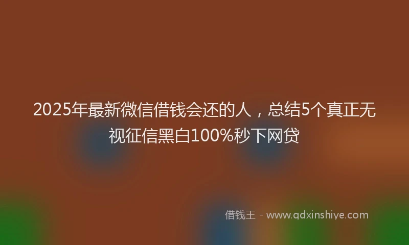 2025年最新微信借钱会还的人，总结5个真正无视征信黑白100%秒下网贷