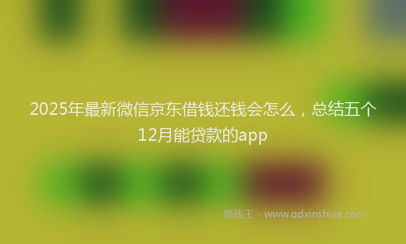 2025年最新微信京东借钱还钱会怎么，总结五个12月能贷款的app