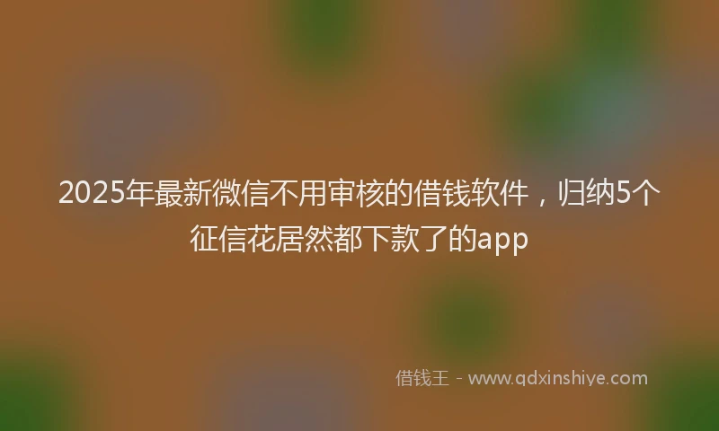 2025年最新微信不用审核的借钱软件，归纳5个征信花居然都下款了的app