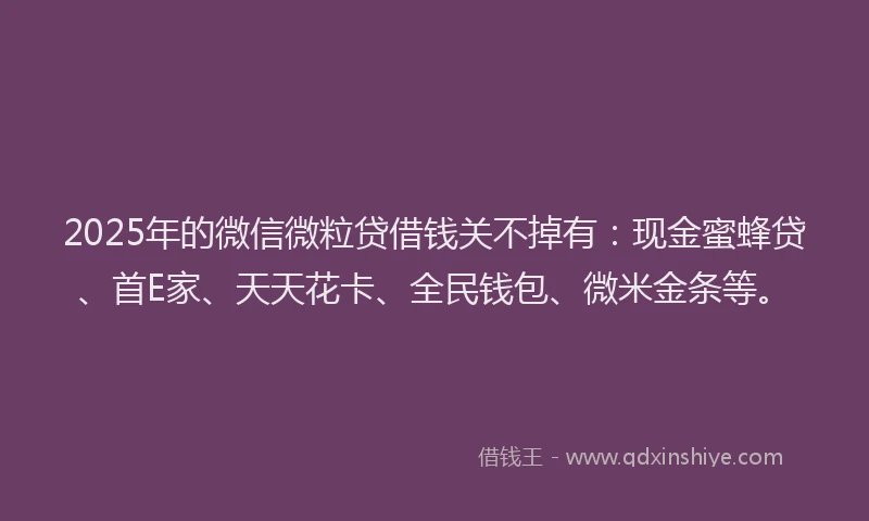 2025年的微信微粒贷借钱关不掉有：现金蜜蜂贷、首E家、天天花卡、全民钱包、微米金条等。