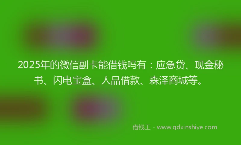 2025年的微信副卡能借钱吗有：应急贷、现金秘书、闪电宝盒、人品借款、森泽商城等。