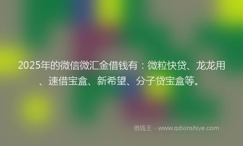 2025年的微信微汇金借钱有：微粒快贷、龙龙用、速借宝盒、新希望、分子贷宝盒等。