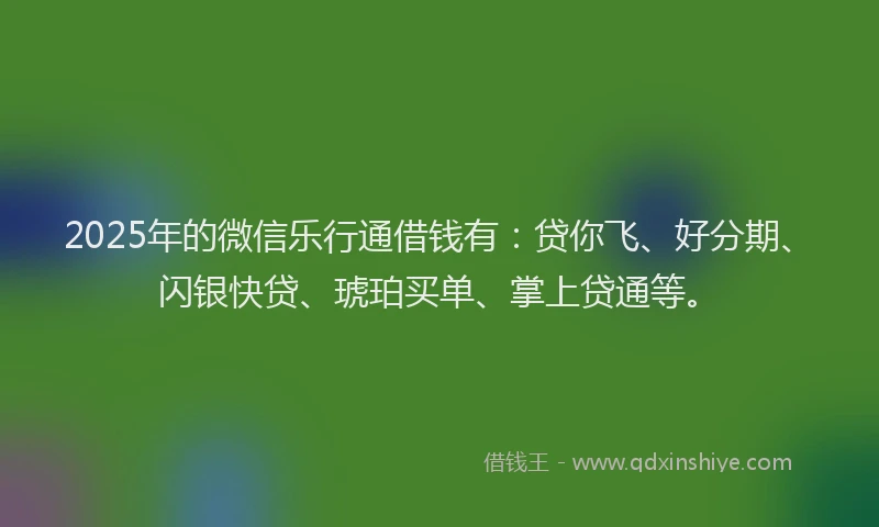 2025年的微信乐行通借钱有：贷你飞、好分期、闪银快贷、琥珀买单、掌上贷通等。