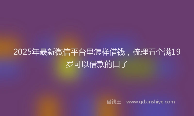 2025年最新微信平台里怎样借钱，梳理五个满19岁可以借款的口子