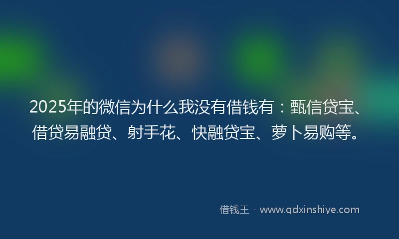 2025年的微信为什么我没有借钱有：甄信贷宝、借贷易融贷、射手花、快融贷宝、萝卜易购等。