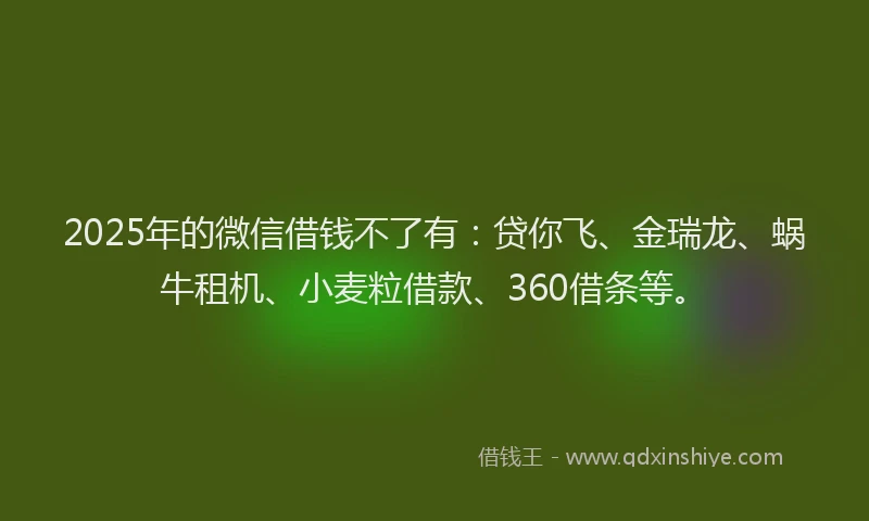 2025年的微信借钱不了有：贷你飞、金瑞龙、蜗牛租机、小麦粒借款、360借条等。