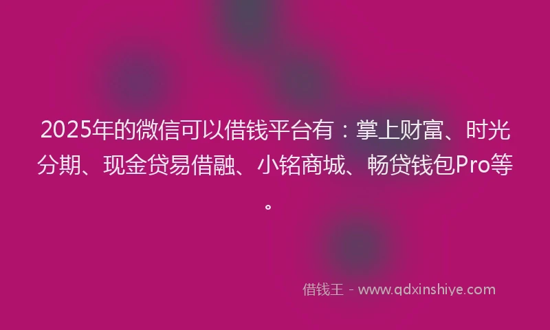 2025年的微信可以借钱平台有：掌上财富、时光分期、现金贷易借融、小铭商城、畅贷钱包Pro等。