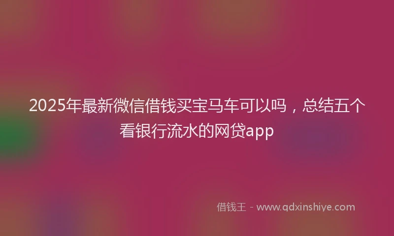 2025年最新微信借钱买宝马车可以吗，总结五个看银行流水的网贷app