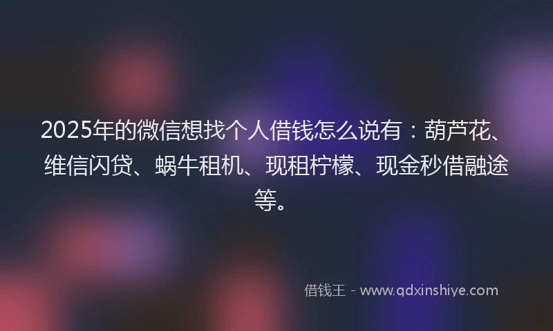 2025年的微信想找个人借钱怎么说有：葫芦花、维信闪贷、蜗牛租机、现租柠檬、现金秒借融途等。