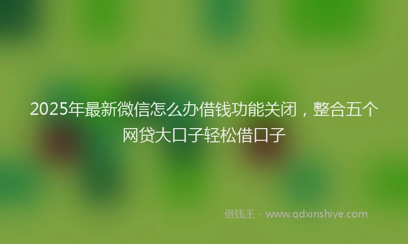 2025年最新微信怎么办借钱功能关闭，整合五个网贷大口子轻松借口子