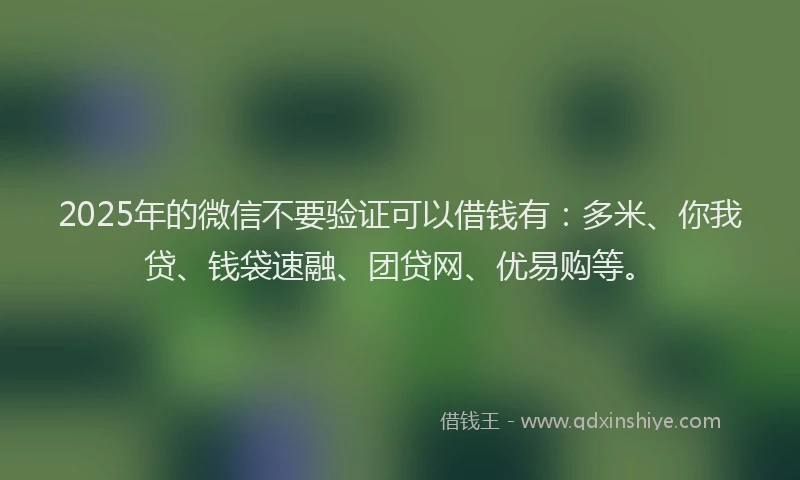 2025年的微信不要验证可以借钱有：多米、你我贷、钱袋速融、团贷网、优易购等。