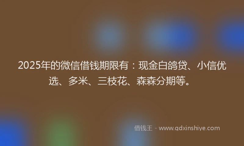 2025年的微信借钱期限有：现金白鸽贷、小信优选、多米、三枝花、森森分期等。