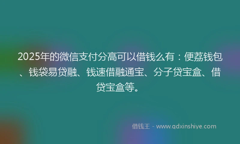 2025年的微信支付分高可以借钱么有：便荔钱包、钱袋易贷融、钱速借融通宝、分子贷宝盒、借贷宝盒等。