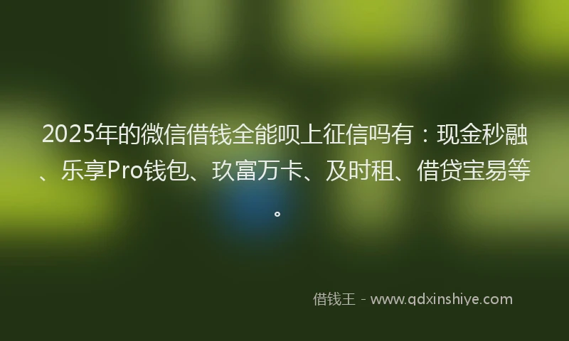 2025年的微信借钱全能呗上征信吗有：现金秒融、乐享Pro钱包、玖富万卡、及时租、借贷宝易等。