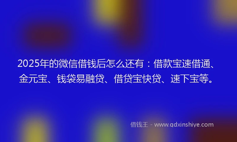 2025年的微信借钱后怎么还有：借款宝速借通、金元宝、钱袋易融贷、借贷宝快贷、速下宝等。