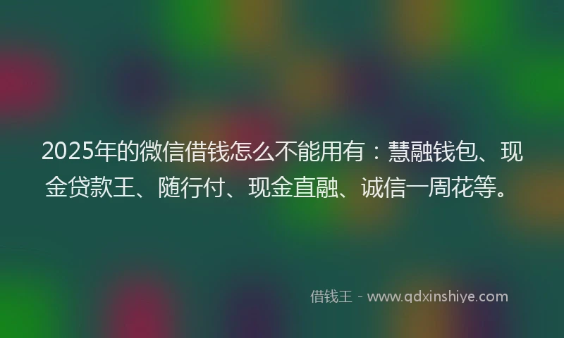 2025年的微信借钱怎么不能用有：慧融钱包、现金贷款王、随行付、现金直融、诚信一周花等。
