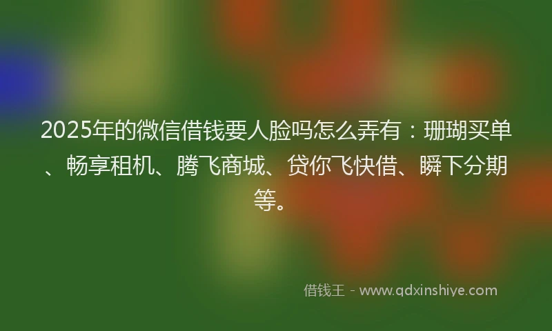 2025年的微信借钱要人脸吗怎么弄有：珊瑚买单、畅享租机、腾飞商城、贷你飞快借、瞬下分期等。