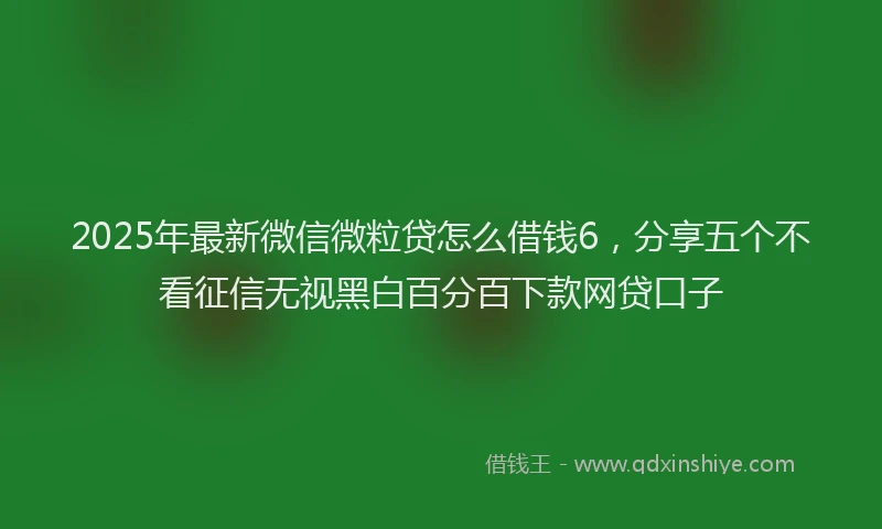 2025年最新微信微粒贷怎么借钱6，分享五个不看征信无视黑白百分百下款网贷口子