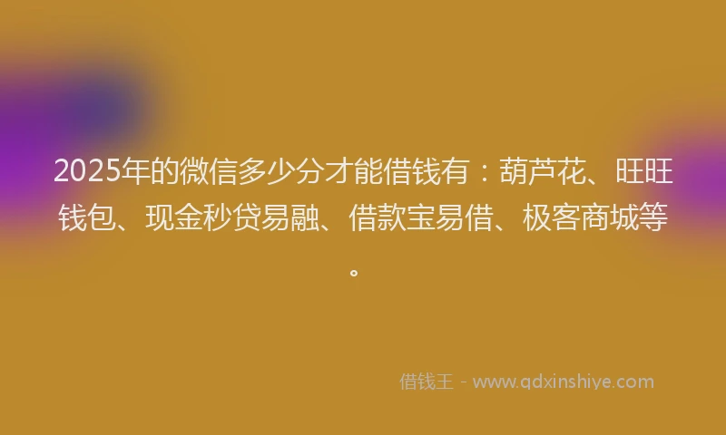 2025年的微信多少分才能借钱有：葫芦花、旺旺钱包、现金秒贷易融、借款宝易借、极客商城等。