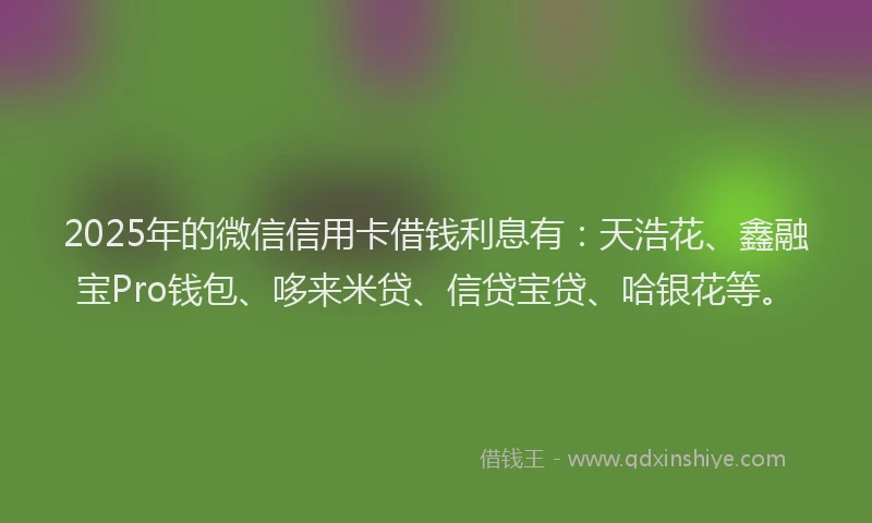 2025年的微信信用卡借钱利息有：天浩花、鑫融宝Pro钱包、哆来米贷、信贷宝贷、哈银花等。