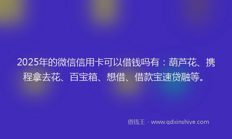 2025年的微信信用卡可以借钱吗有：葫芦花、携程拿去花、百宝箱、想借、借款宝速贷融等。