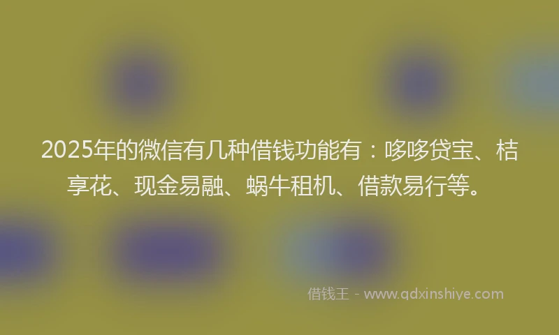 2025年的微信有几种借钱功能有：哆哆贷宝、桔享花、现金易融、蜗牛租机、借款易行等。