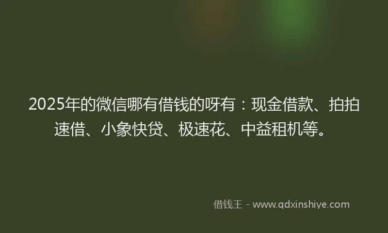 2025年的微信哪有借钱的呀有：现金借款、拍拍速借、小象快贷、极速花、中益租机等。